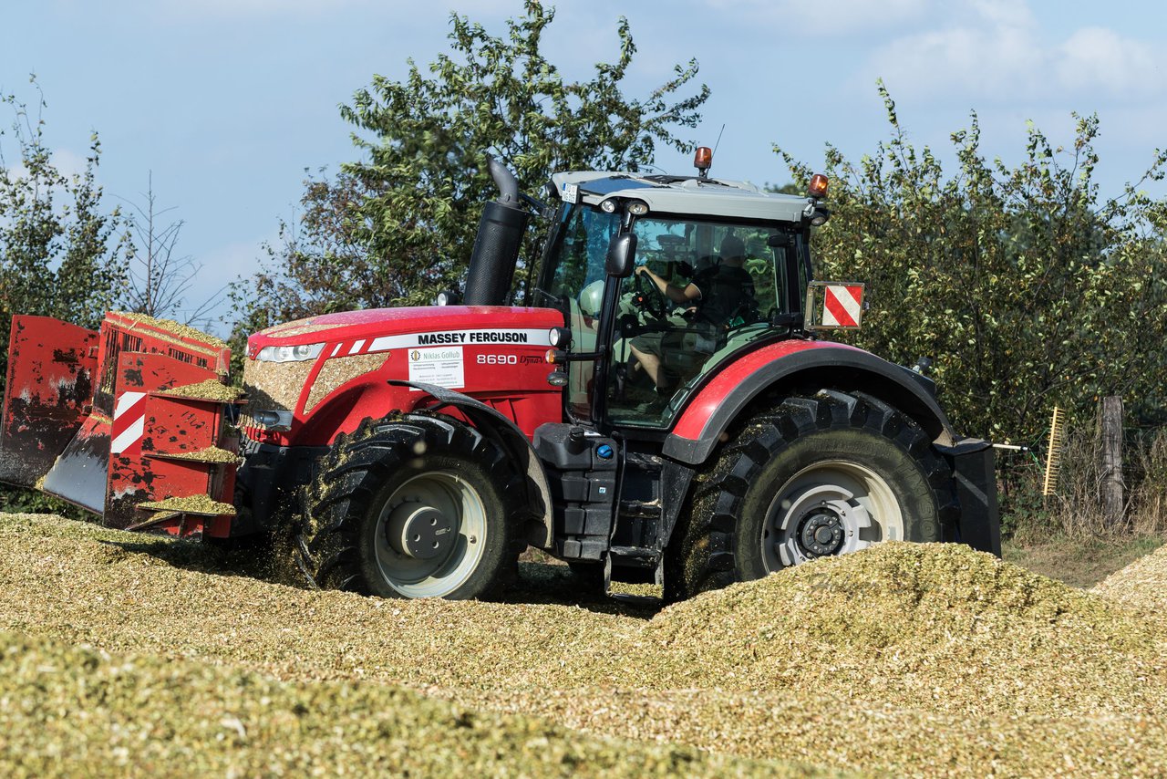 Bild 108 - Maisernte